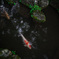 15007298-F7C5-4993-AC81-48592F666792