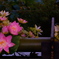 盆