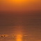 GOLD_DSC_5915