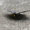戦闘機は飛ばず