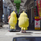 柾谷小路を移動中のドコモ鳥ポインコ兄弟