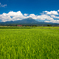 伯耆大山夏景