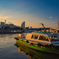 Sunset Harbor