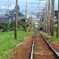 かぼちゃ君～♪　