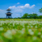 唐子鍵遺跡公園