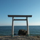 つぶて浦1