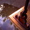 photo_978252
