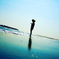 夏の海