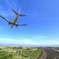 jackall 534