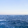 海原