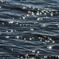 海の星