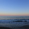 IMG_8446
