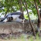 猫ちゃん800mm