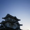 尾道城