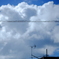 DSCF6950