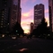 新宿副都心の夕暮れ
