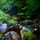 2020/08/30 阿弥陀ヶ滝4
