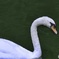 9E0A3585-FFC7-44FF-A305-AF8A519072CB