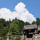 夏の神社