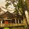 三峰神社と御神木