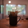 Table cup