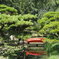 栗林公園①