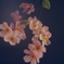 偽花