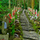 生駒聖天 寶山寺