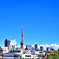 夏空・東京タワーのある風景(1)