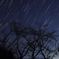 ふたご座の流れ星１個だけ