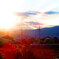 夕陽