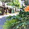 ある夏の日の情景6