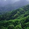 箱根ツーリング
