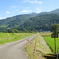 田舎道