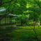 旧古河庭園・日本庭園１