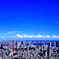 夏空・東京タワーのある風景(3)