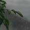 雨の日