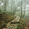 山道