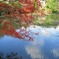 紅葉と青空