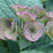 P1240241　終演