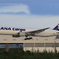 ANA　Cargo