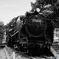 Steam Locomotive