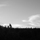 DSCF1242