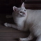 あめふり　たいくつ
