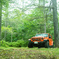 Jeep Halloween Color