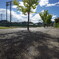 R0004245