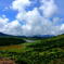高原の沼