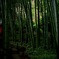 報国寺