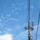 電線はいいぞ