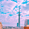 東京スカイツリー